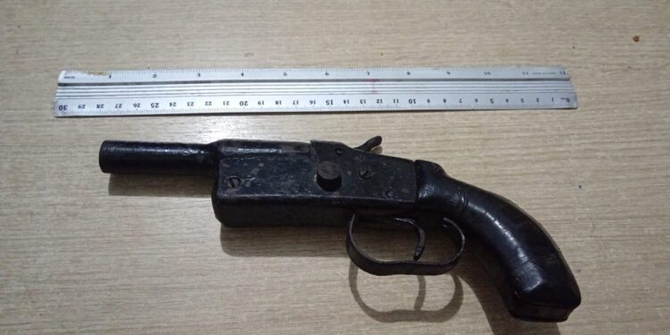 Caso de violencia intrafamiliar terminó con un detenido en poder de una cartuchera