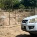 Lo contrataron para llevar un colchón y terminaron asesinándolo