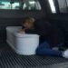 Niña de apenas un año de edad fue asesinada por su padrastro