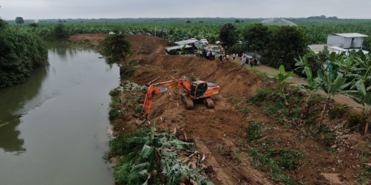 Prefectura refuerza riberas del Buenavista para proteger plantaciones agrícolas