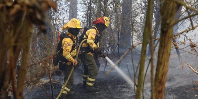 Quito soportó 5 incendios forestales en un lapso de 22 minutos