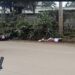Juramento a la Bandera se vio interrumpido por un asesinato en Camilo Ponce Enríquez