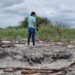 Hallaron un cuerpo mutilado y quemado en el estero El Bravito