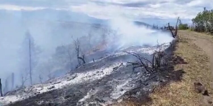 11 incendios forestales se registraron este fin de semana en Quito.