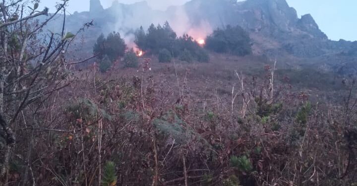 Incendio forestal en Chilla consumió 50 hectáreas