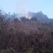 Incendio forestal en Chilla consumió 50 hectáreas