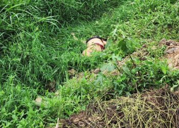 Mujer es asesinada con una piedra