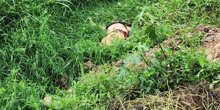 Mujer es asesinada con una piedra
