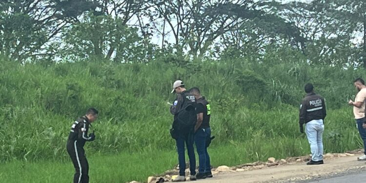 Mujer asesinada con una piedra ya fue reconocida