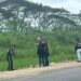 Mujer asesinada con una piedra ya fue reconocida