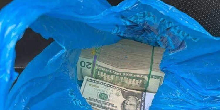 En dos fundas transportaba 16.800 dólares que no pudieron justificar