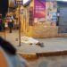 Joven asesinado por ataque armado en la fiesta de una ciudadela en Santa Rosa