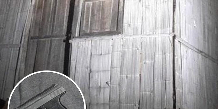 En una casa abandonada encontraron un arma de fuego