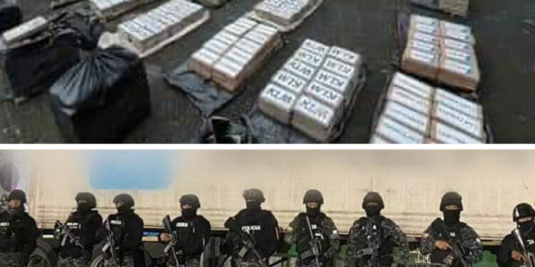 22 Toneladas de cocaína serán destruidas en un proceso de 11 Horas