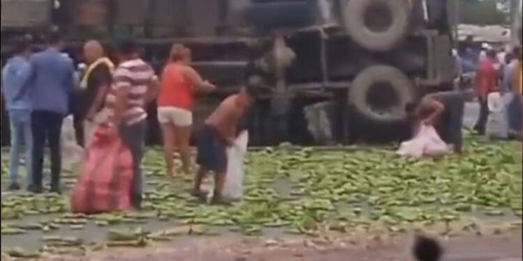 Saquean el plátano que se transportaba en un camión que se volcó