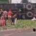 Saquean el plátano que se transportaba en un camión que se volcó