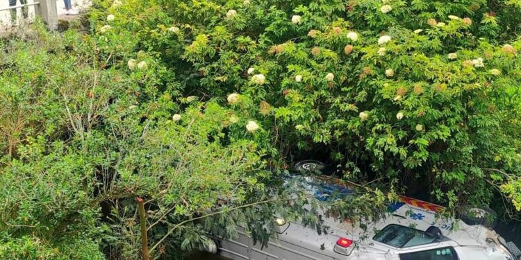 Heridos al caer una ambulancia al río