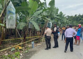 Solo el 5,02 % de muertes violentas ocurridas en El Oro fueron resueltos