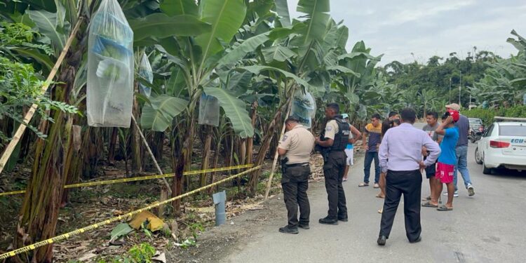 Solo el 5,02 % de muertes violentas ocurridas en El Oro fueron resueltos