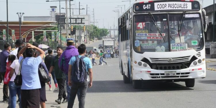 Suspensión temporal del servicio de transporte público en Guayaquil debido a la inseguridad