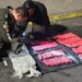 Hallan 128 tacos de dinamita en UPC del Centro Histórico de Quito