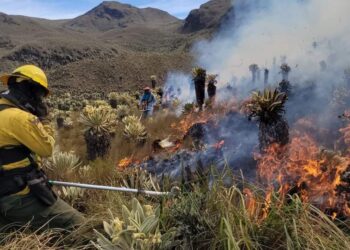 Incendio devastó casi 795 hectáreas de la reserva el ángel en Carchi