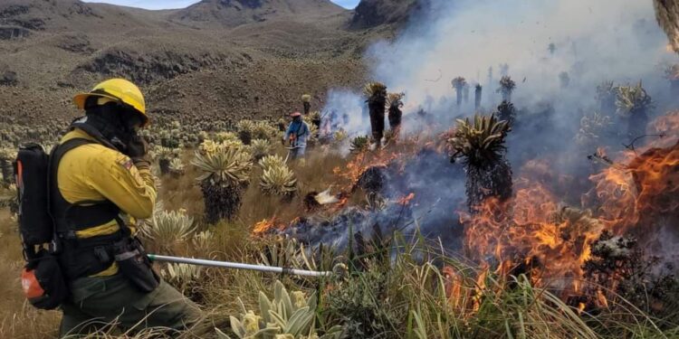 Incendio devastó casi 795 hectáreas de la reserva el ángel en Carchi