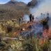 Incendio devastó casi 795 hectáreas de la reserva el ángel en Carchi