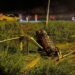 Camioneta se volcó tras perder pista