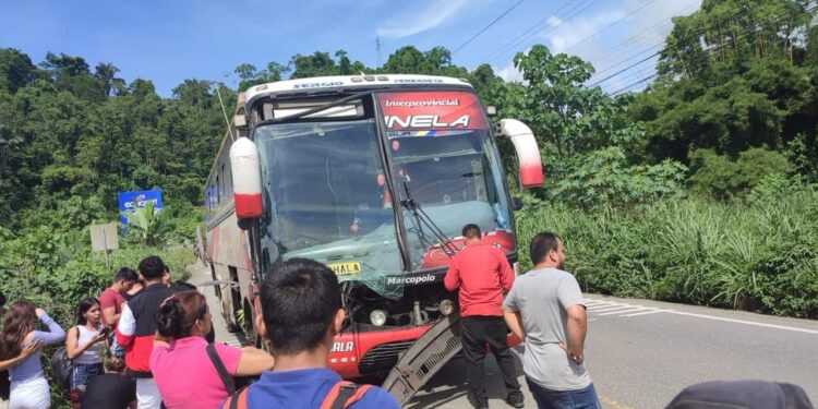 Bus de Coop. Centinela del Sur tuvo un accidente al quedarse sin frenos