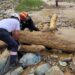 A orillas del río Guanuche fue encontrado un cadáver mutilado