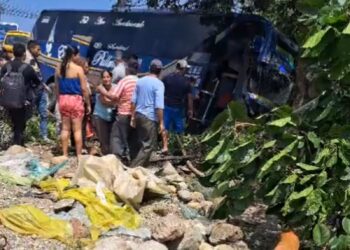 Bus de la cooperativa Ecuatoriano Pullman se estrelló contra un árbol