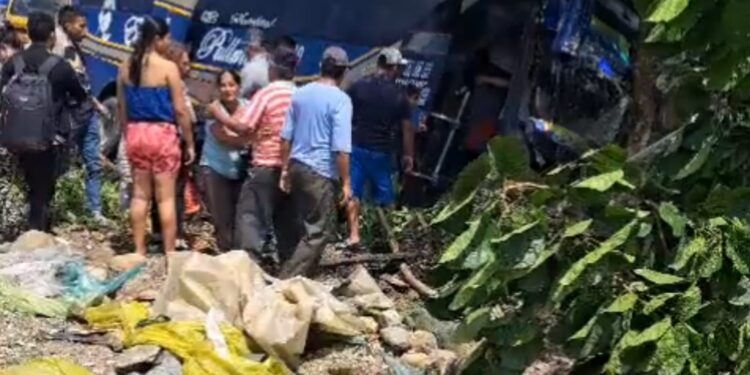 Bus de la cooperativa Ecuatoriano Pullman se estrelló contra un árbol