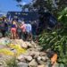 Bus de la cooperativa Ecuatoriano Pullman se estrelló contra un árbol