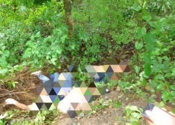 Seis cadáveres fueron encontrados a un costado de la carretera