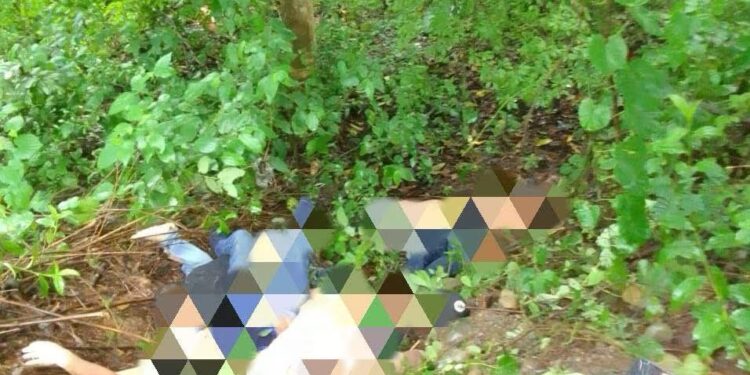 Seis cadáveres fueron encontrados a un costado de la carretera