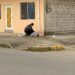 Joven de 18 años asesinado con al menos nueve disparos