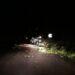 Caída de arboles había provocado un accidente