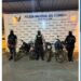 En un terreno baldío se encontraron cuatro motocicletas robadas