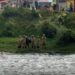 Encuentran cuerpo sin vida en el río Cuenca