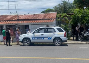 Mujer que cuidaba a 30 perros falleció