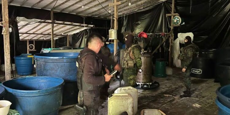 Descubrieron un laboratorio que procesaba 10 toneladas de sustancias ilícitas mensuales