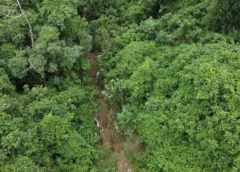 Dos muertos al caer un carro en una quebrada