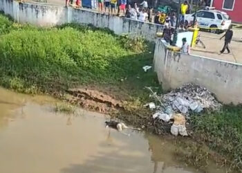 Cadáver que tenía un golpe en la cabeza flotaba en el río San Pablo