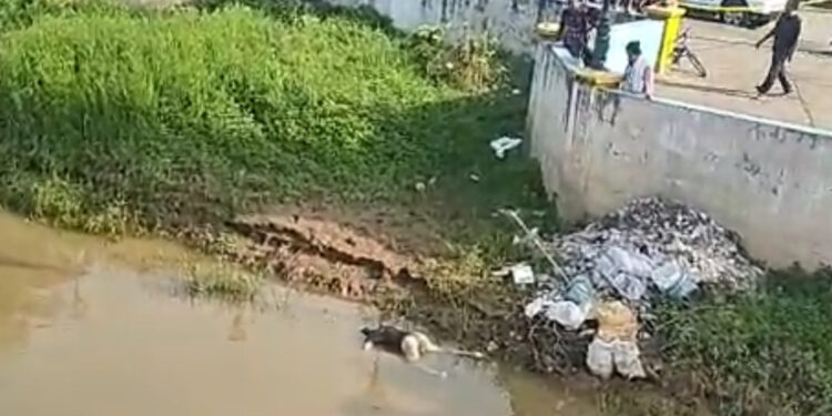 Cadáver que tenía un golpe en la cabeza flotaba en el río San Pablo
