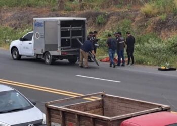 Dos mujeres fueron asesinadas y embaladas