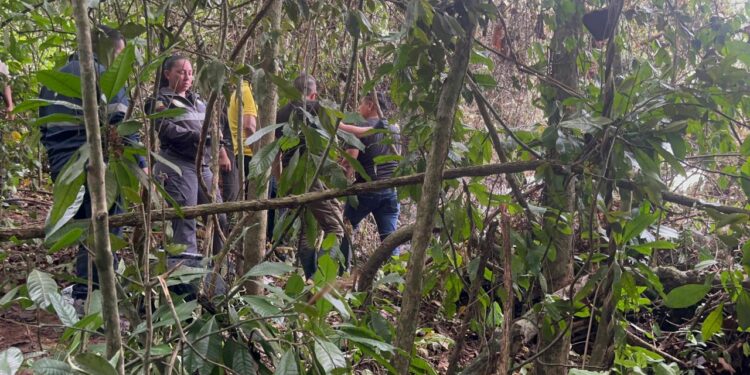 Cuerpos quedaron carbonizados al estrellarse una avioneta