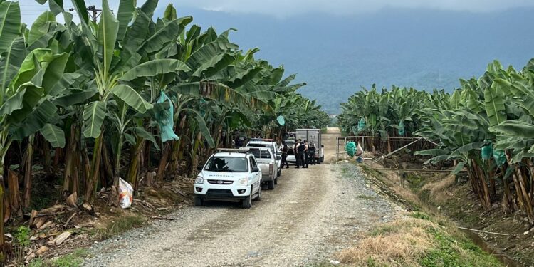 Lo encontraron muerto en una guardarraya