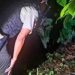 Asesinado en el barrio 18 de Noviembre