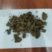 Aprehendidos con sustancias ilícitas y un arma de fuego